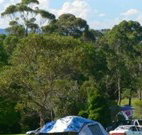 Milton Valley Holiday Park - Lennox Head Accommodation