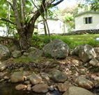 Mt Warning Rainforest Park - Lennox Head Accommodation