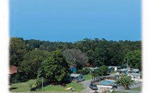 Paradise Palms Caravan Park - Lennox Head Accommodation 3