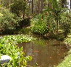 Tallowood Ridge B and B - Lennox Head Accommodation