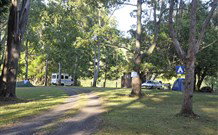 The Channon Village Campground - Lennox Head Accommodation 0