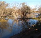 Warrawong on the Darling - Lennox Head Accommodation