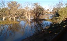 Warrawong On The Darling - Lennox Head Accommodation 0