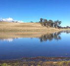 Bombala Maneroo Motel - Bombala - Lennox Head Accommodation