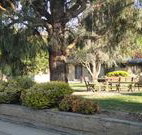 Hamilton Hume Motor Inn - Yass - Lennox Head Accommodation