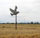 Gulargambone Hotel - Gulargambone - Lennox Head Accommodation