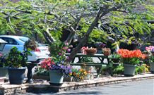 Milgate Motel - Casino - Lennox Head Accommodation 2