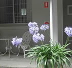 Pine Lodge Motel - Woolgoolga - Lennox Head Accommodation