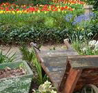 The Carrington Inn - Lennox Head Accommodation