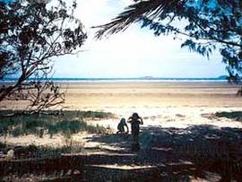 Midge Point QLD Lennox Head Accommodation
