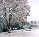 Maneroo Motel - Lennox Head Accommodation