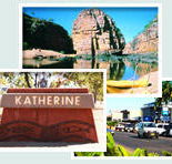 Red Gum Tourist Park - Lennox Head Accommodation