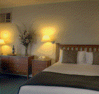 Ringwood Lake Inn - Lennox Head Accommodation