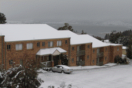 Acacia Snowy Motel - Lennox Head Accommodation 4