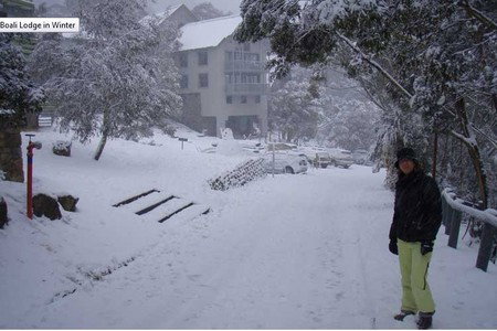 Boali Lodge - Lennox Head Accommodation 4