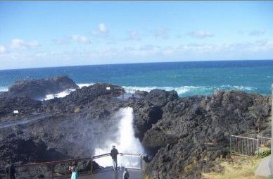 Kiama Ocean View Motor Inn - Lennox Head Accommodation 1