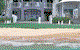 Coral Horizons Beachfront Apartments - thumb 5