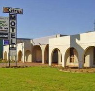 Citrus Motel - Lennox Head Accommodation