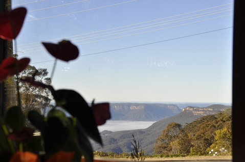 Jamison House And The Rooster Restaurant - Lennox Head Accommodation 1