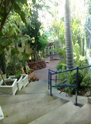 Reef Lodge Backpackers - Lennox Head Accommodation 1