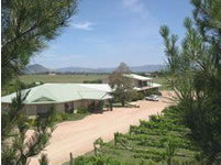 Mudgee Vineyard Motor Inn - Lennox Head Accommodation 1