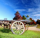 The Oaks Ranch and Country Club - Mossy Point - Lennox Head Accommodation