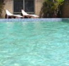 Toreador Motel - Coffs Harbour - Lennox Head Accommodation
