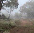Heritage Park Bathurst - Lennox Head Accommodation