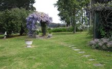 Honeycomb Valley And Cape Able - Lennox Head Accommodation 7
