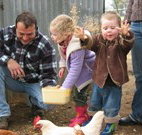 Linga Longa Farm Wingham - Lennox Head Accommodation