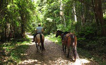 Malibells Country Cottages - Lennox Head Accommodation 1