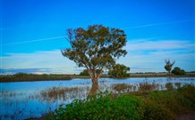 Morvern Valley Farm Stay Cottages - Lennox Head Accommodation 4