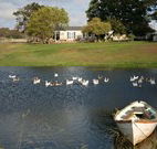 Old Redbank Farm Holiday - Lennox Head Accommodation