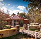 Starline Alpaca Farm Stay - Lennox Head Accommodation
