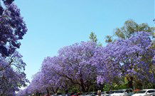 Andavine House Bed And Breakfast - Lennox Head Accommodation 5