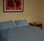 Busy Buzz - Lennox Head Accommodation
