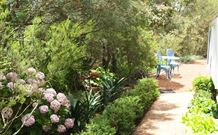 Cottage Barn Bed And Breakfast - Lennox Head Accommodation 1