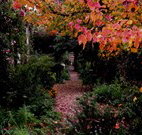 Gulgong B and B - Lennox Head Accommodation