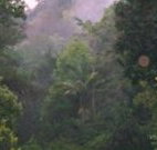 Havans Ecotourist Retreat - - Lennox Head Accommodation