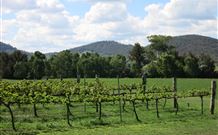 Jessica's Guest House And Vineyard - Lennox Head Accommodation 0