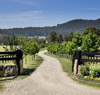 Pemberley Grange Hunter Valley Getaway - Lennox Head Accommodation