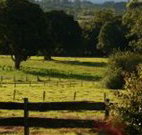Pines on the Plateau - Lennox Head Accommodation