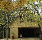 Rose Lindsay Cottage - Lennox Head Accommodation