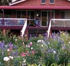 Rose Patch Bed and Breakfast - Lennox Head Accommodation