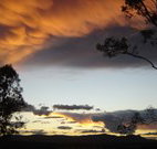 Silkwood B and B - Lennox Head Accommodation