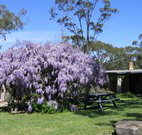 Studio Cottages - Lennox Head Accommodation