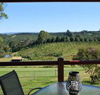 The Shed B and B - Lennox Head Accommodation