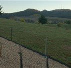 Towac Valley Cabins - Lennox Head Accommodation