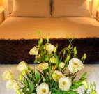 Winton Luxury Bed and Breakfast - Lennox Head Accommodation