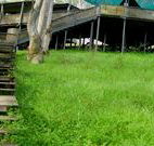 Snowy Valley Resort - Lennox Head Accommodation